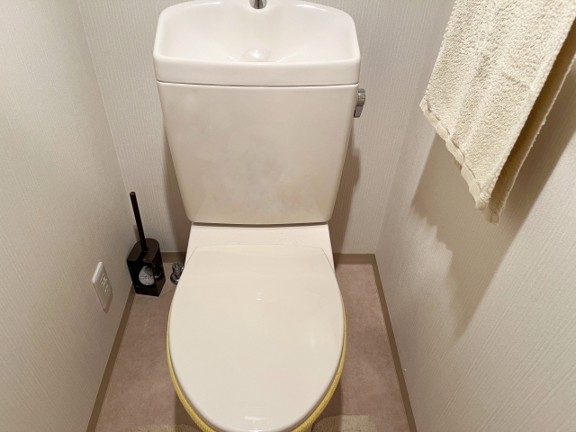 トイレ故障の原因と対処法を症状別にプロが解説！