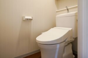 トイレつまりは自然に治る？放置NGな症状と安全な対処法