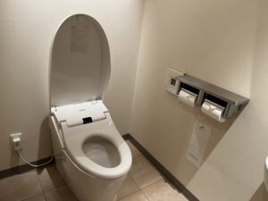 トイレの水位が低い原因と対処法を徹底解説