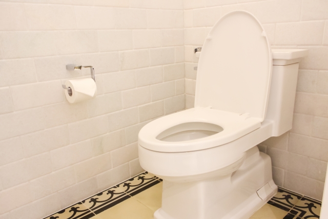 トイレの水位が上がる原因一覧と自分でできる対処法